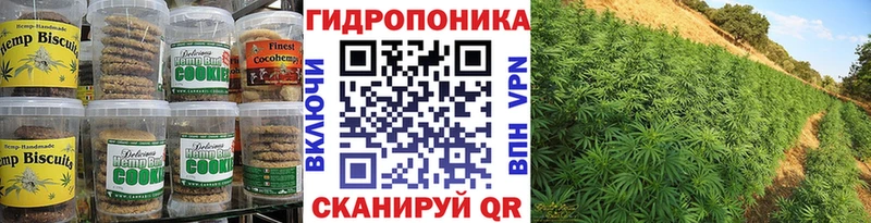 хочу   мега рабочий сайт  Печенье с ТГК конопля  Шумерля 