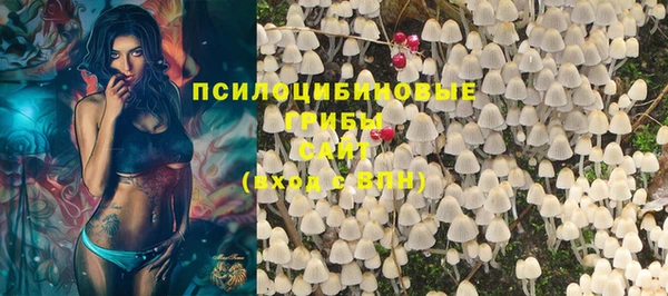спиды Абинск