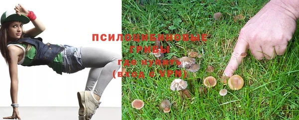 ECSTASY Абаза