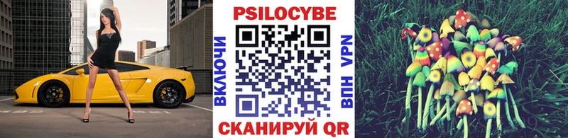 Галлюциногенные грибы мицелий  купить наркоту  mega ONION  Шумерля 